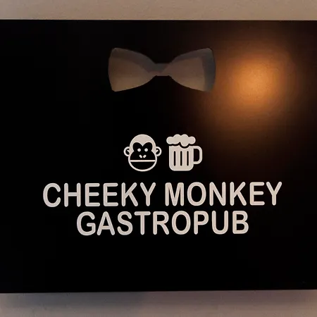 Ax The Saint John 4*