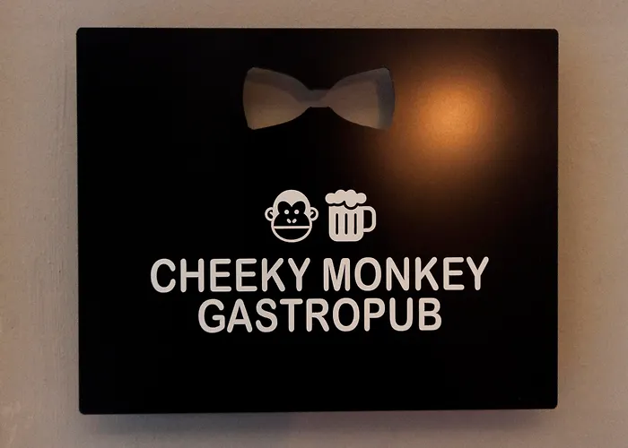 Ax The Saint John 4*